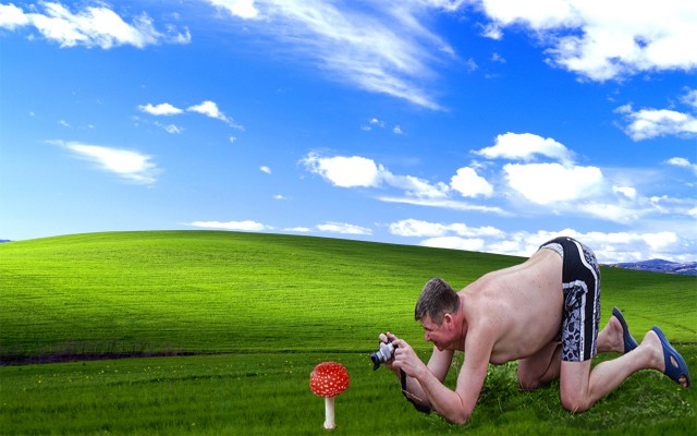 Жаба: Фотолюбитель
