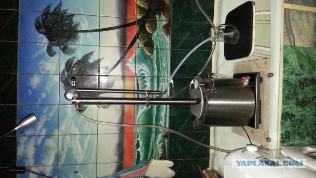 Иностранцы пробуют русский самогон