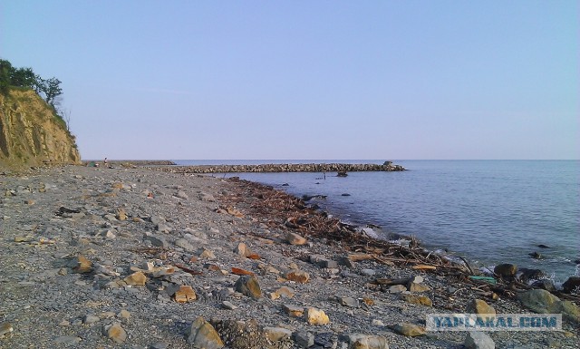 Я узнал, что у меня есть огромная семья