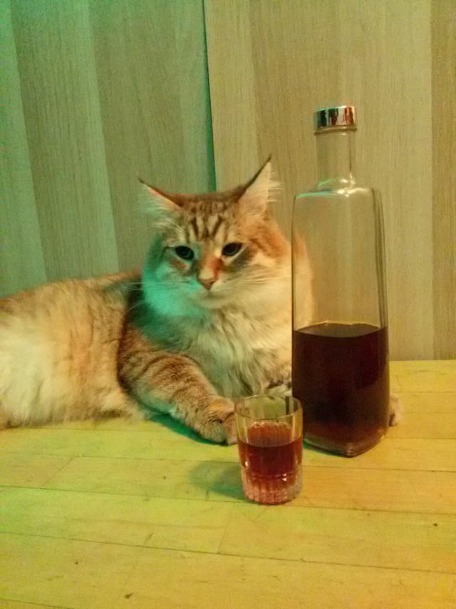 Попытка сделать свое "время ох##тельных историй"