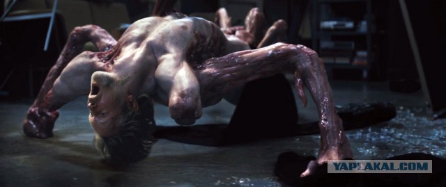 От Антарктиды откололись два огромных куска шельфа