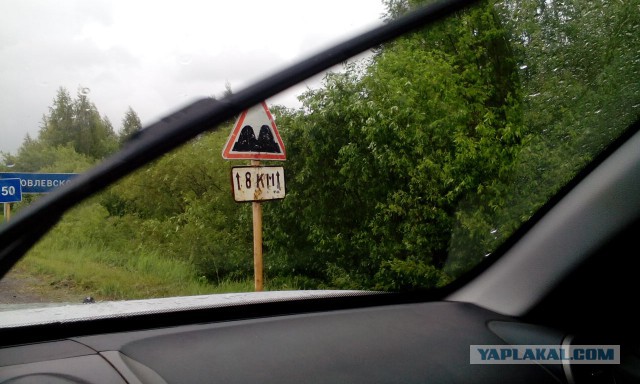 В Рязанской области нанесли разметку на грязь и лужи