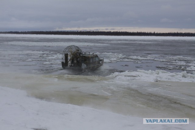 Трудная дорога домой...