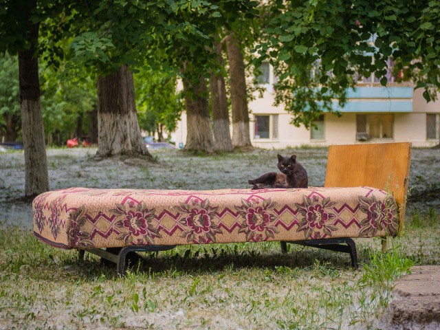 Подборка "тёплых, уютных, домашних" фотографий. Часть 7