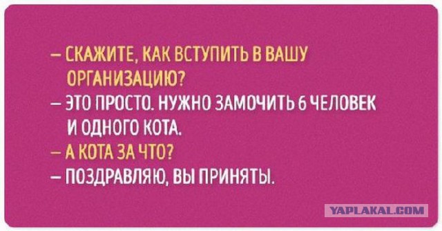 Юмор не для всех