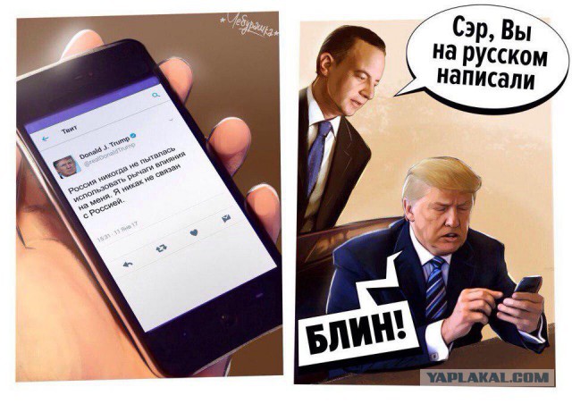 Украинские корни у Трампа