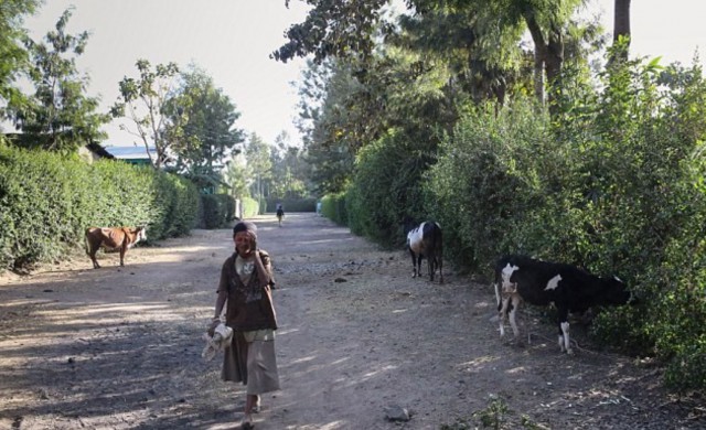 У Анжелины Джоли неприятности. У девочки, удочеренной в Эфиопии, обнаружилась мать, которая требует встречи с ребенком.