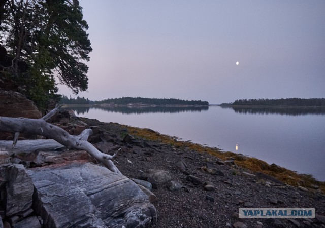 Карелия. Белое море. Немного о рыбалке.