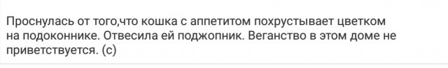 Веганство как одна из форм психического расстройства