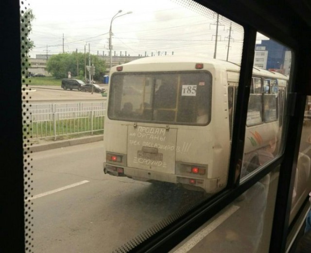 Смешные картинки