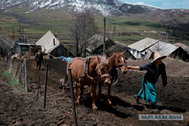 Там русский дух: островки России в мире.