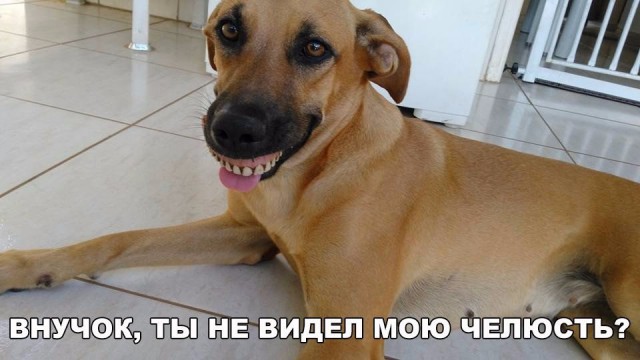 Нестандартный юмор