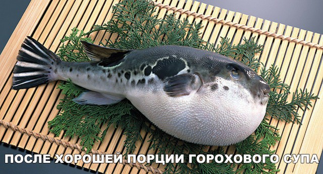 Нестандартный юмор