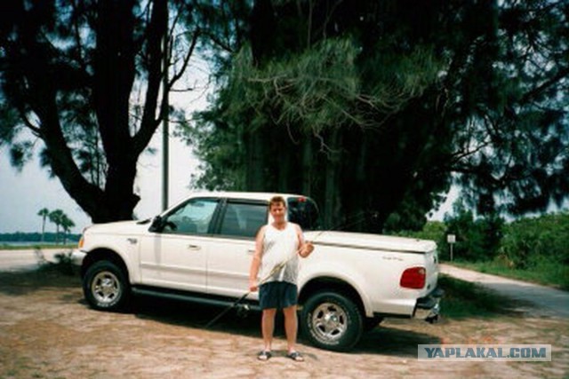 Командировка. В леса