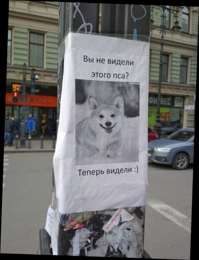 Прикольные надписи и объявления