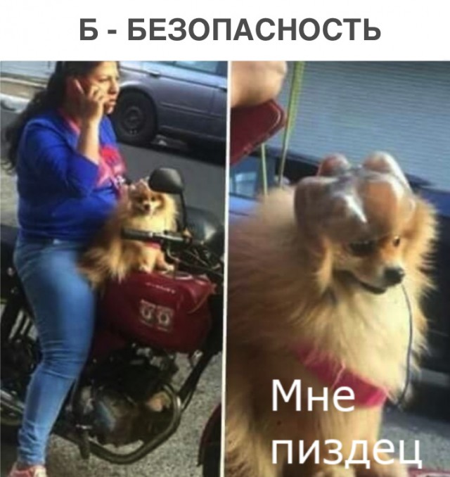 Картинок пост