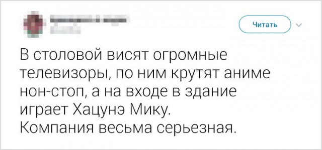 Девушка рассказала о работе в Японии. Спорим, вы бы не хотели оказаться в таком офисе