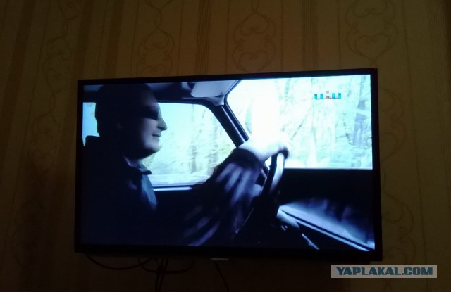 Это признание! Пашкетт на ТНТ
