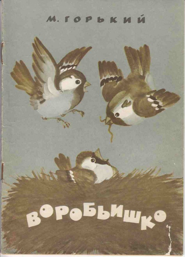 Почти три десятка неловких ситуаций, когда люди поняли, что их собеседники умом совсем не блещут