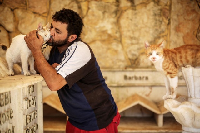 «Человек-кот из Алеппо» продолжает спасать бездомных животных