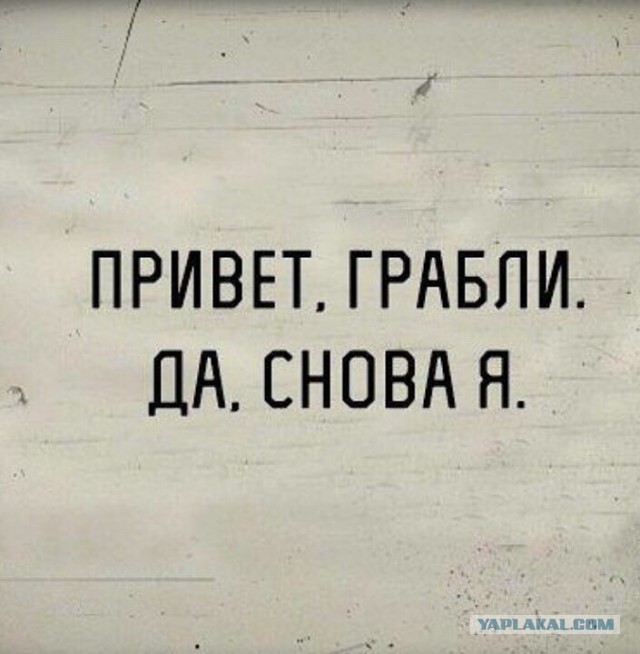 Подборка интересных и веселых картинок 21.08.19