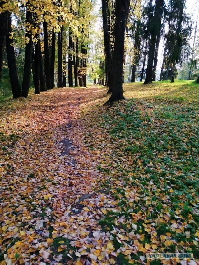 Сам себе фотограф