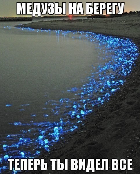 Так себе картинки 10