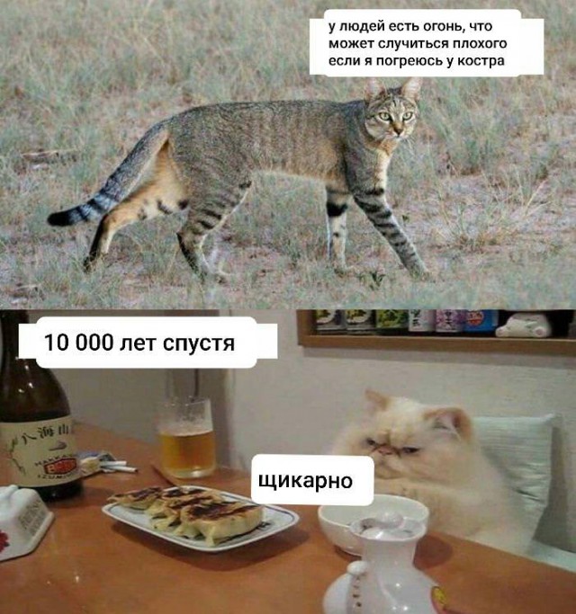 Немного картинок для настроения 22.05.20