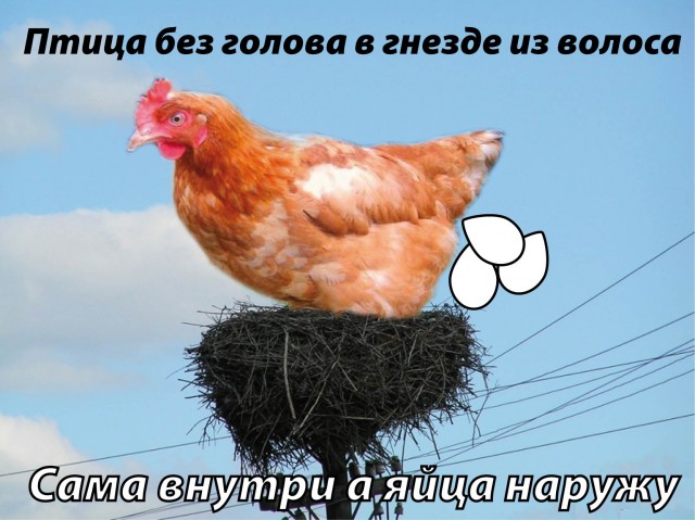 Недетские загадки для ЯПлакалъ