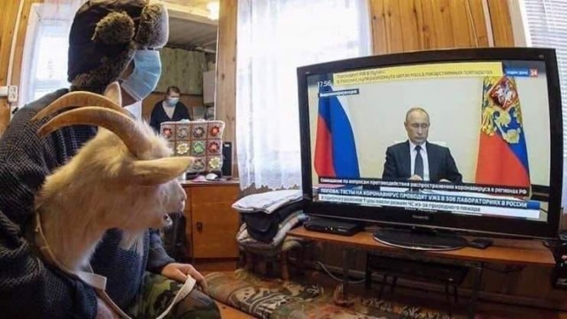Так себе картинки 01.07.20