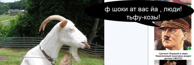 Коза с языком: А вот вам!