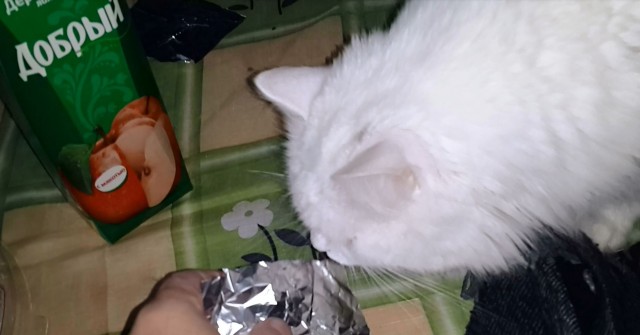 Когда она у тебя с кукухой, но ты терпишь