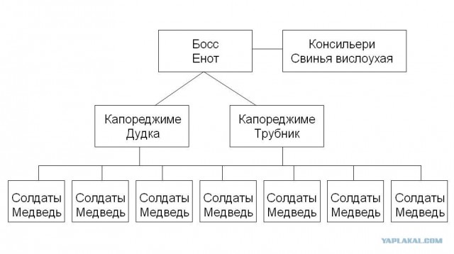 Плантация марихуаны и медведи