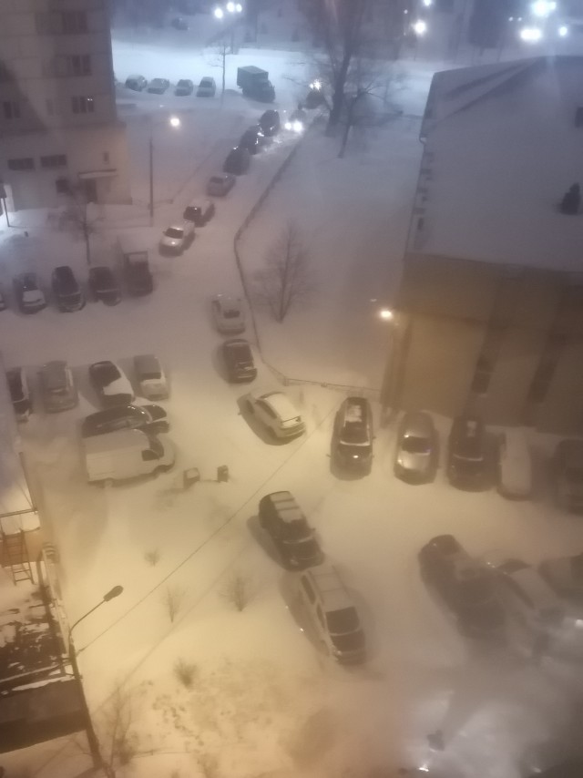 Снегопад в Москве выявляет чудаков на другую букву