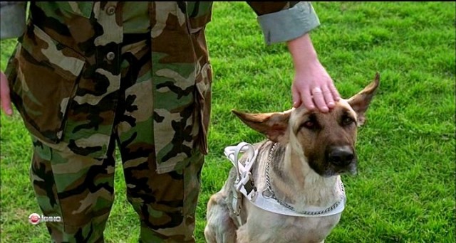 Выгнал детей, чтобы выгулять собаку