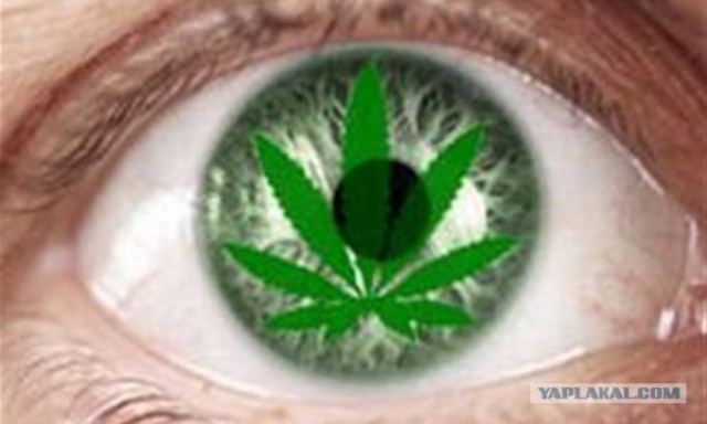 Коровка Психоделическая