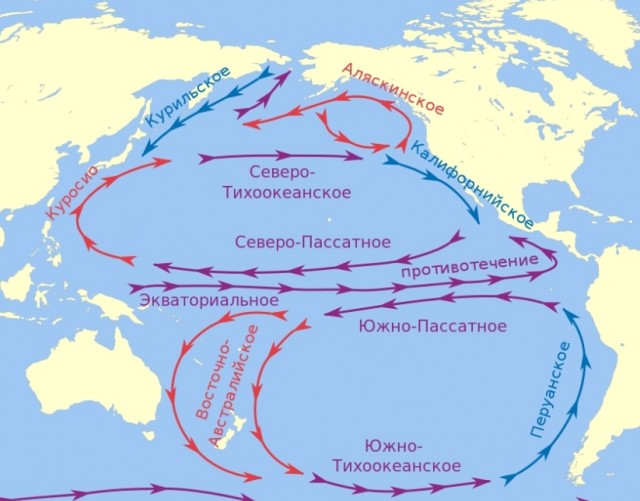 Риск новой экологической катастрофы в Тихом океане