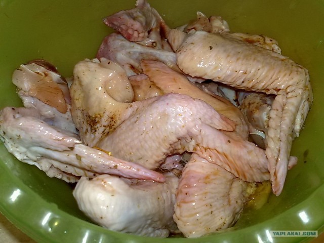 Ноги, хвосты… главное – крылья!, Кура-International–2, куриные крылья