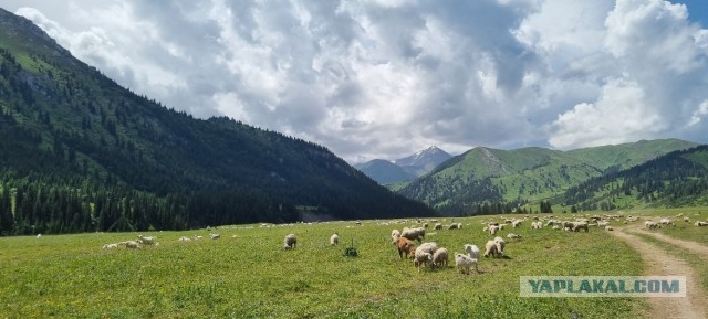 Кулинарная общалка