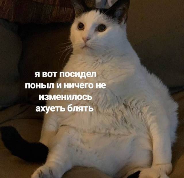 Бредзона 01.08.2020