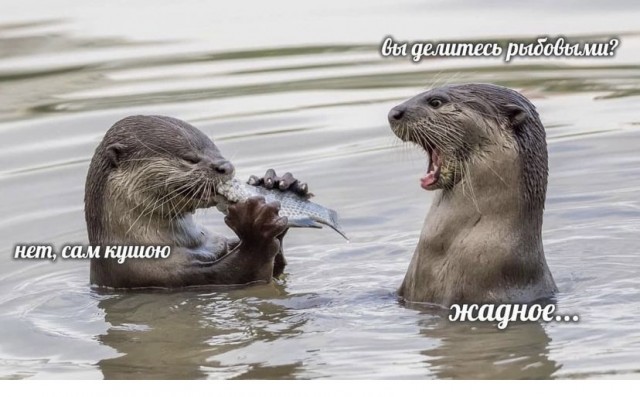 Так себе картинки 13.08.21