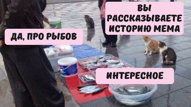 Вы меня достали своими рыбАми. Айда обратно к Наташе