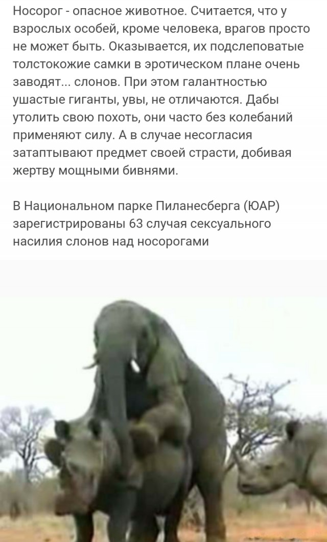 Так себе картинки 04.09.21