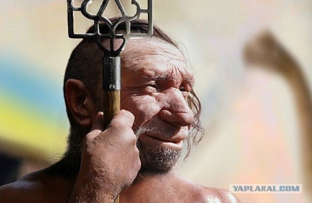 Новое в исторической науке
