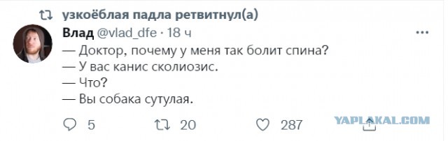 Смешные комментарии из социальных сетей 26.11.2021