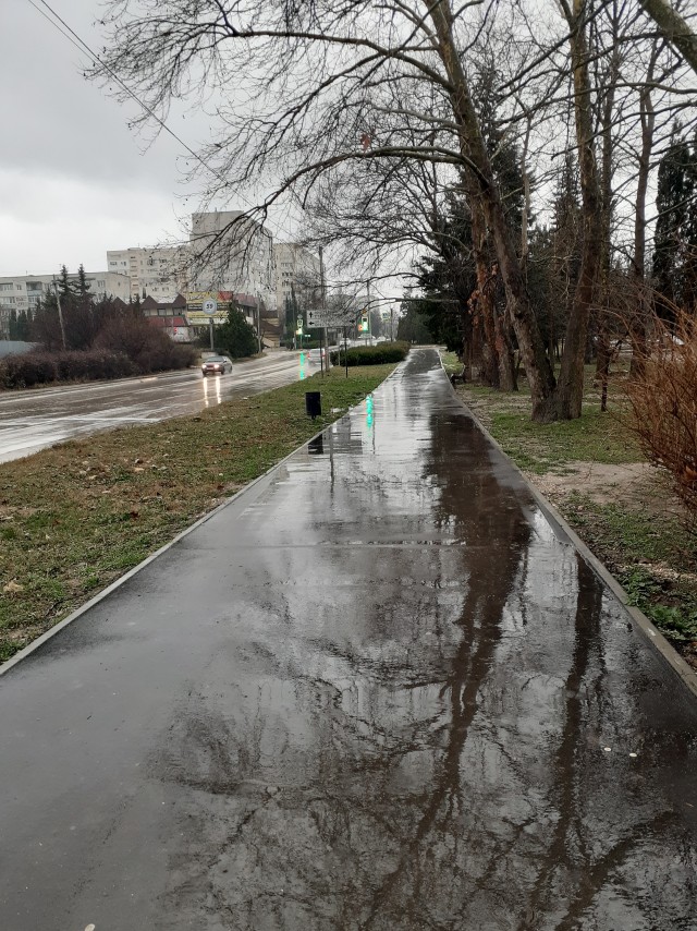 Первое января глазами непьющего человека