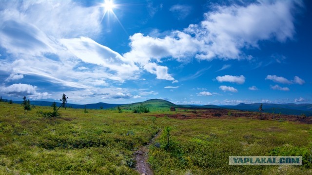 Болваны, я восьмой