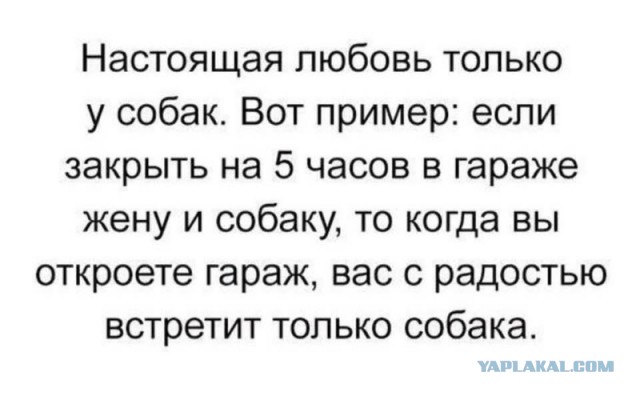 Почему женщины выносят мозг?