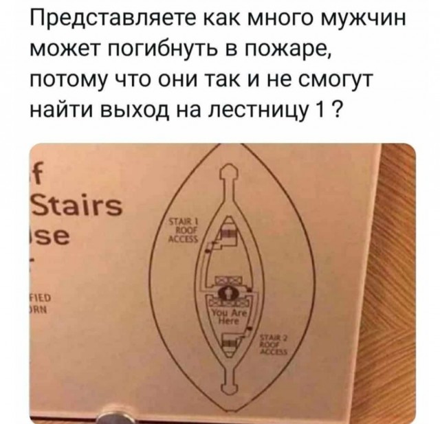 Бредзона