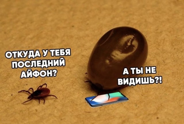 Валера и Эльвира (различия)